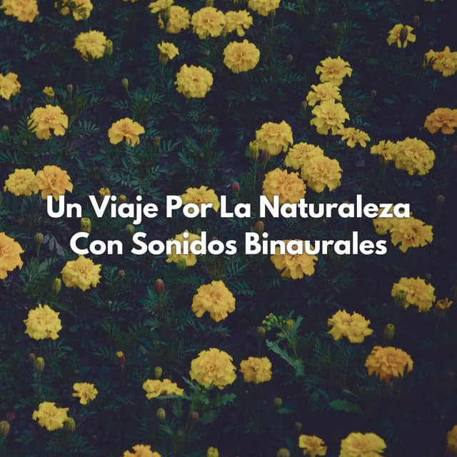 Un Viaje Por La Naturaleza Con Sonidos Binaurales - Lazers binaurales