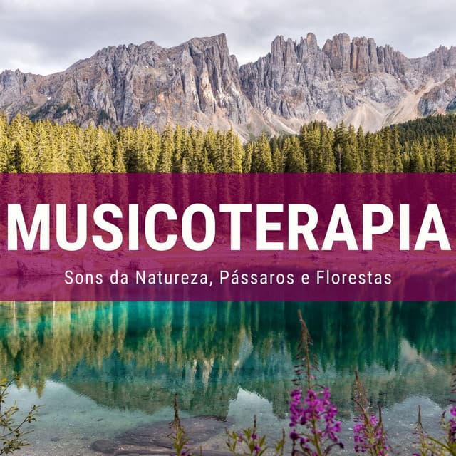 Musicoterapia 2019: Música Relaxante com Sons da Natureza, Pássaros e Florestas - Chakra Música Cura