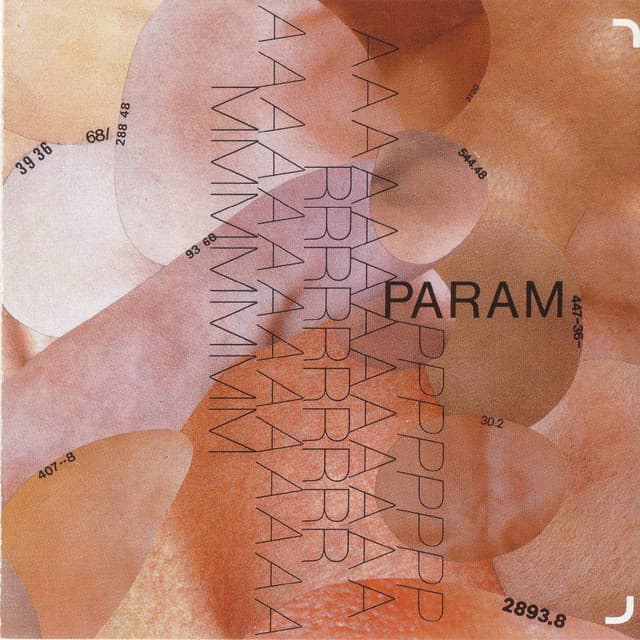 Param - Marcus Schmickler