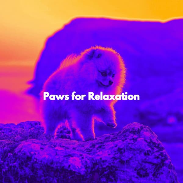Paws for Relaxation - Jazz Moderna para Cafeterías