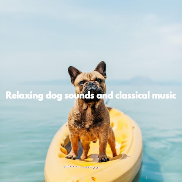 Relaxing dog sounds and classical music - Deluxe Elevator Music