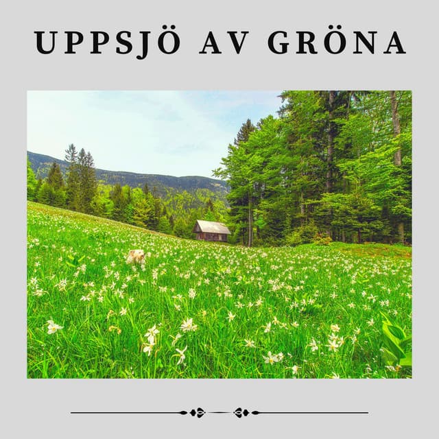 Uppsjö av Gröna - Naturljud
