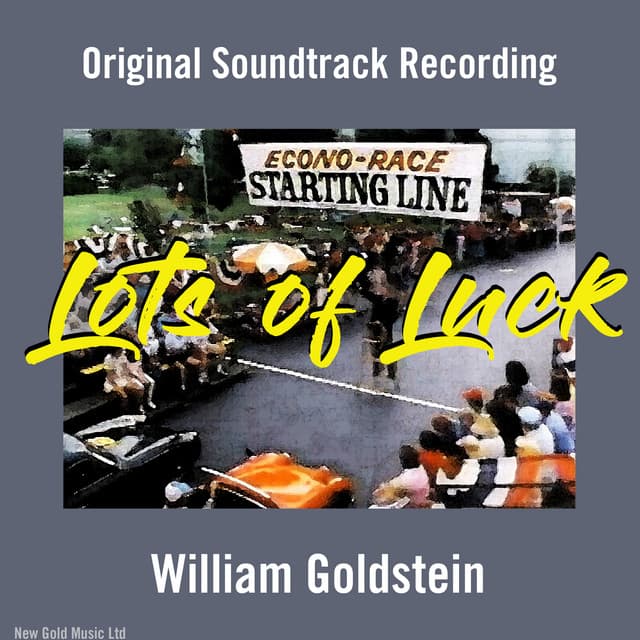 Lots of Luck - William Goldstein