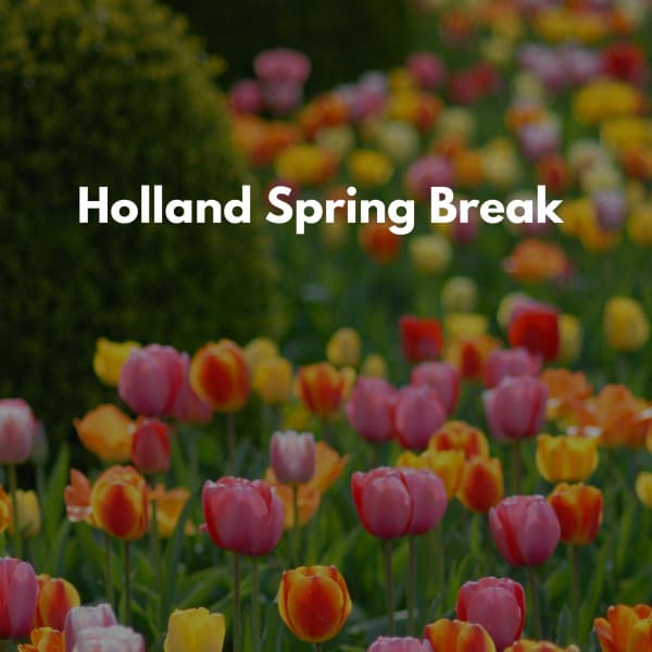 Holland Spring Break Music - Wine Bar Music