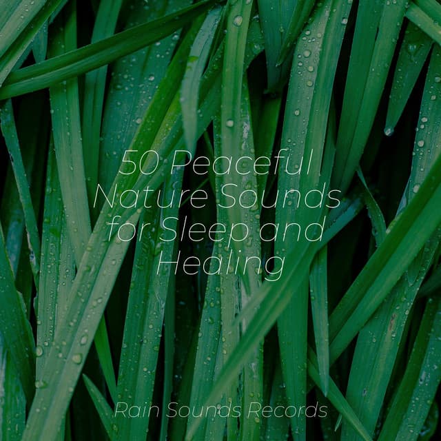 50 Peaceful Nature Sounds for Sleep and Healing - Spa Relaxation