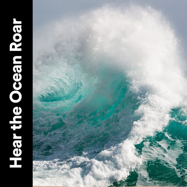 Hear the Ocean Roar - Ocean & Sea Sounds