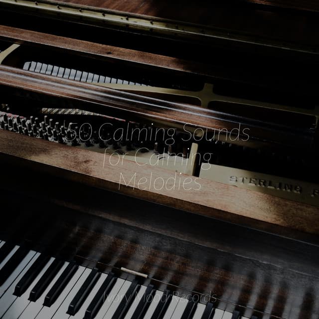 50 Calming Sounds for Calming Melodies - Ivory Mood