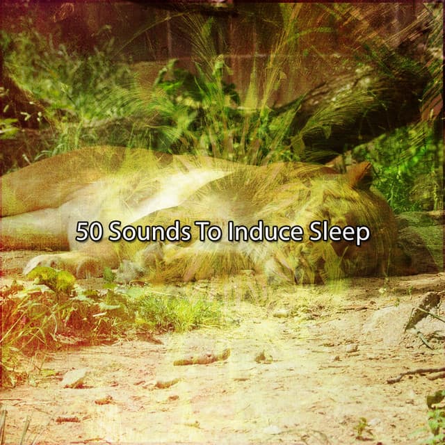 50 Sounds To Induce Sleep - Sleep Music System