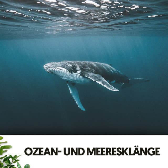 Ozean- und Meeresklänge: Tiefblaue Harmonie - Ruido Blanco Hart