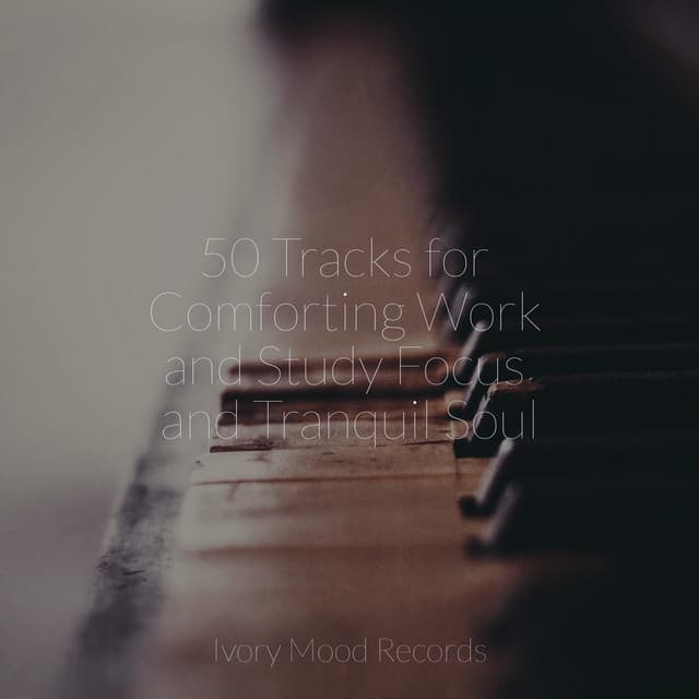 50 Tracks for Comforting Work and Study Focus and Tranquil Soul - Ivory Mood