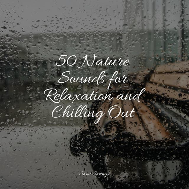 50 Nature Sounds for Relaxation and Chilling Out - Natureza Musica Bem-Estar Academia