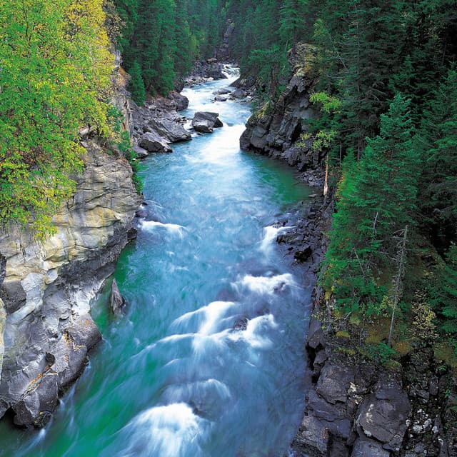 Soothing Streams: Serenity in Flowing Water Melodies - Waterfall Sound