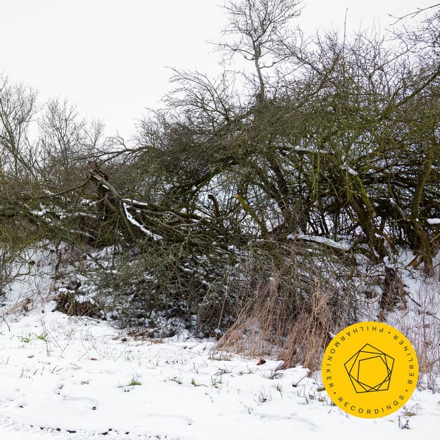 Rachmaninoff 150 - Sergei Rachmaninoff