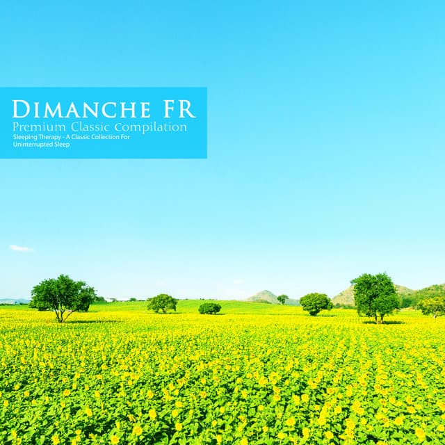 A Classic Collection for Uninterrupted Sleep - Dimanche FR