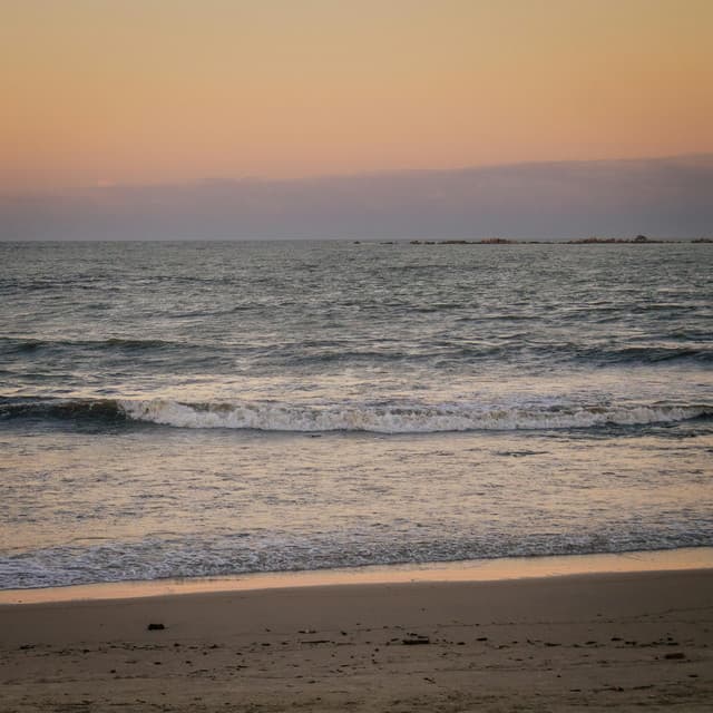 0 Hour Nature: Mystical Horizons - Nature Sound Collection