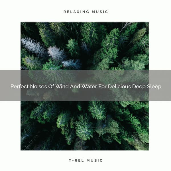 Perfect Noises Of Wind And Water For Delicious Deep Sleep - Sleep Dimension