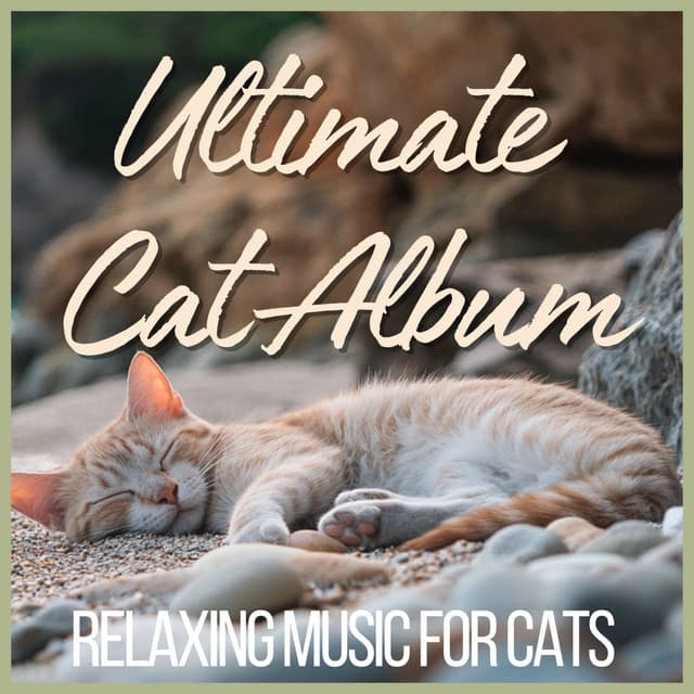 Ultimate Cat Album - Relaxing Music for Cats - RelaxMyCat
