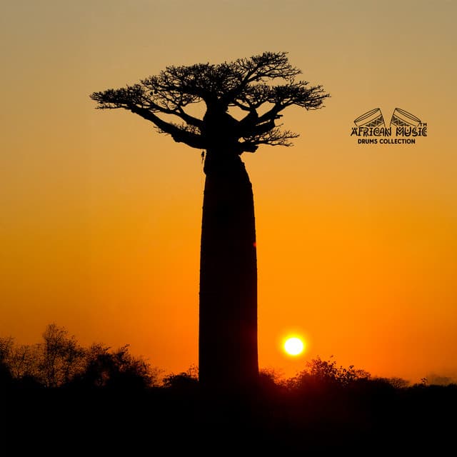 Rhythms of the Baobab Tree - African Music Drums Collection