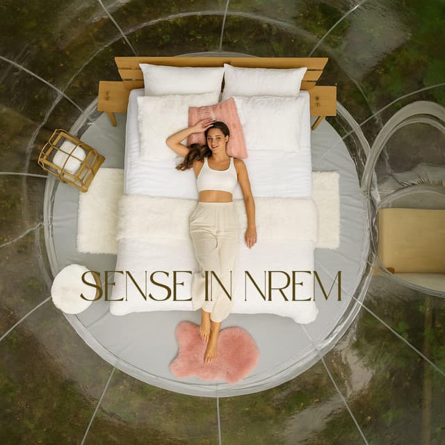 Sense in NREM - Alys Coliere