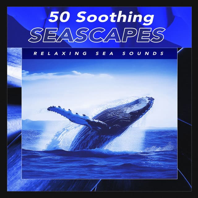 50 Soothing Seascapes - Relaxing Sea Sounds