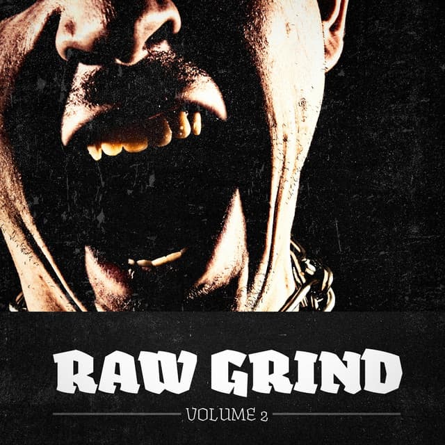 Raw Grind, Vol. 2 - The Metal Heroes