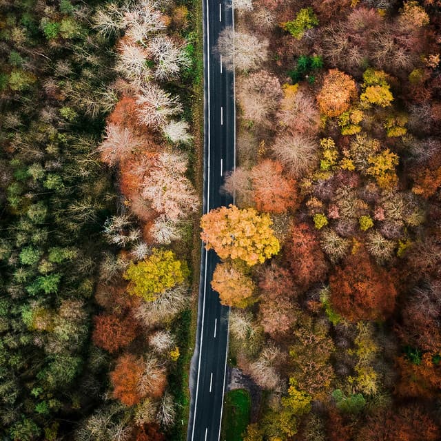 4 Seasons: Transition - Baltic Nature Sounds