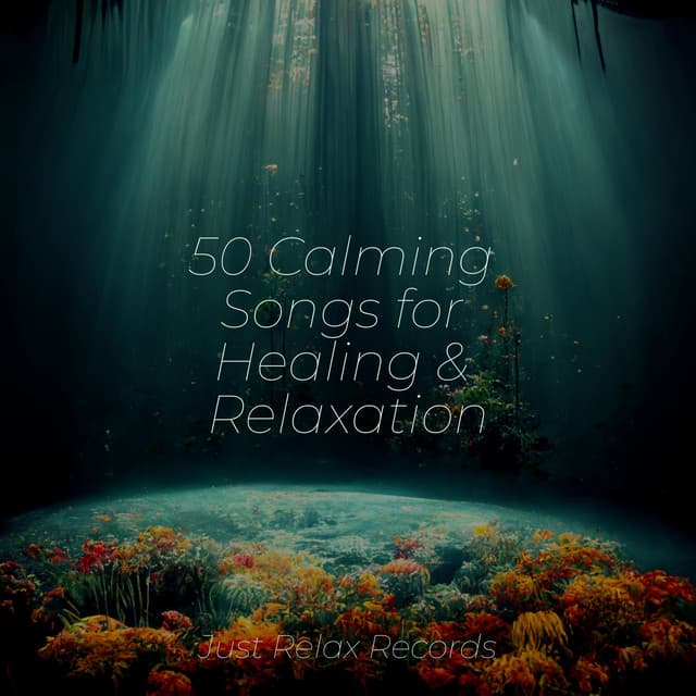 50 Calming Songs for Healing & Relaxation - Musica romantica instrumental