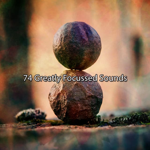 74 Greatly Focussed Sounds - Musique Zen Garden