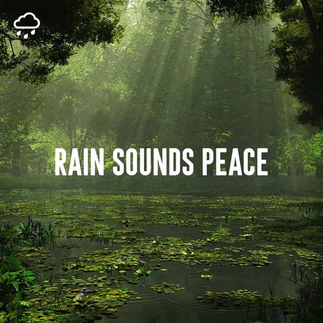 Rain Sounds Peace - Relaxing Rain Recordings