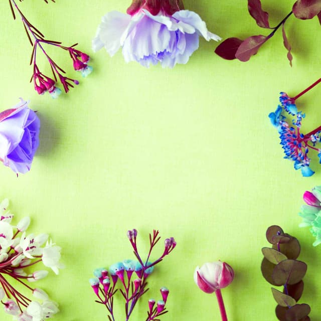 Debonair Music for Coffee at Night - Piano Bossa Nova Duo - #Relaxing