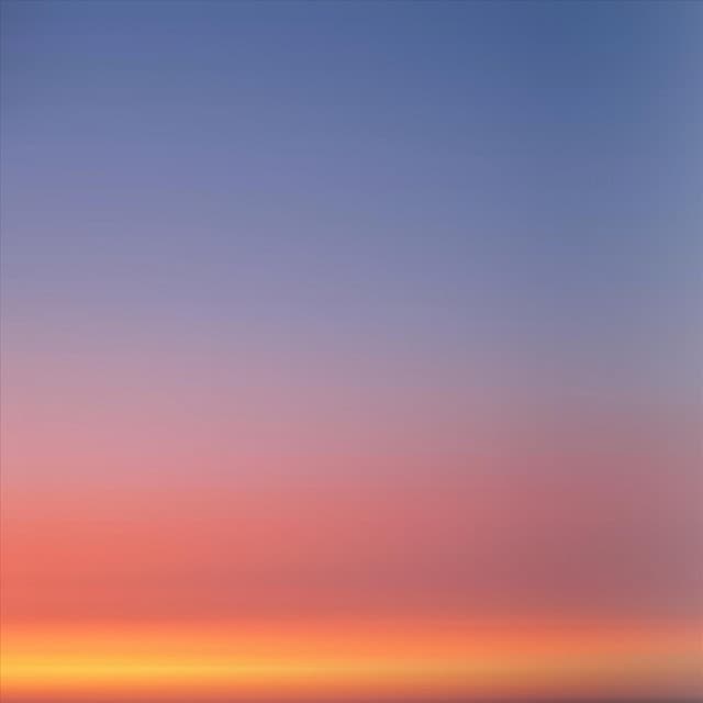 Petals in Slow Motion - Heavenly Realms