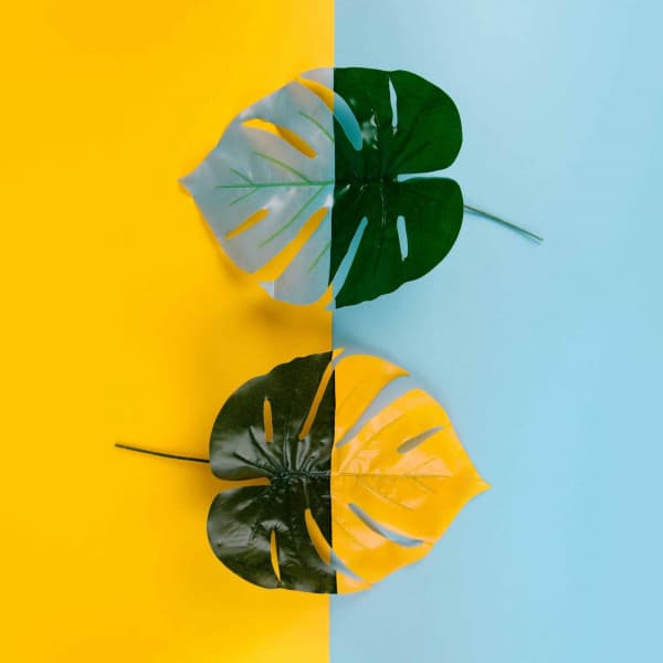 Music for Relaxed Sunday Nite - Funky Jazz Quintet - Música Chill para Cafe