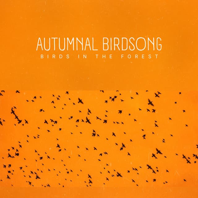 Autumnal Birdsong - Birds In The Forest