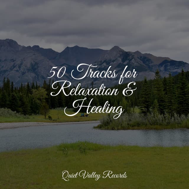 50 Tracks for Relaxation & Healing - Alpha Waves