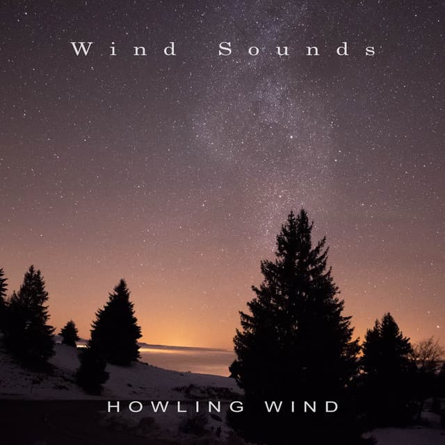 Howling Wind - Wind Sounds