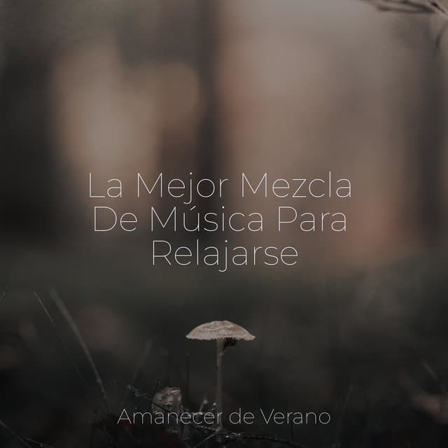 La Mejor Mezcla De Música Para Relajarse - Musica para Bebes
