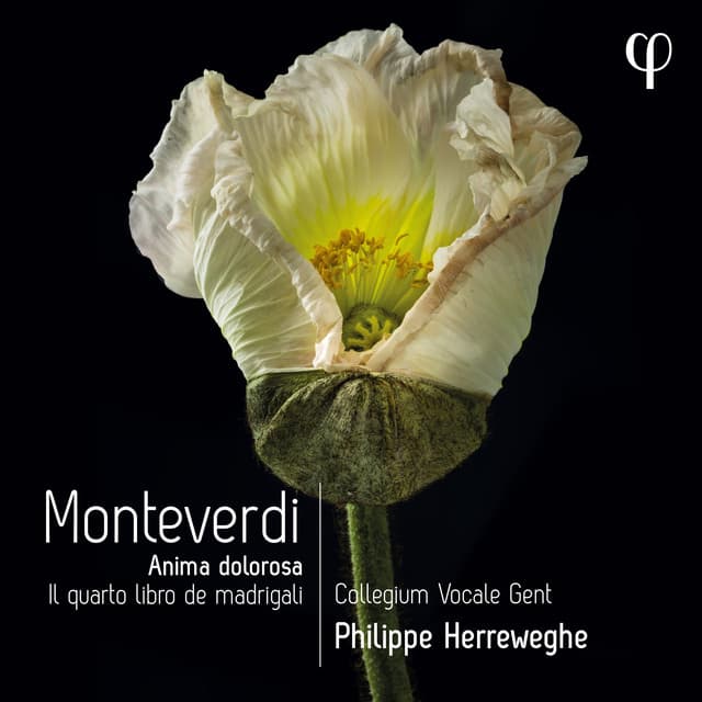 Monteverdi: Il quarto libro de madrigali - Claudio Monteverdi