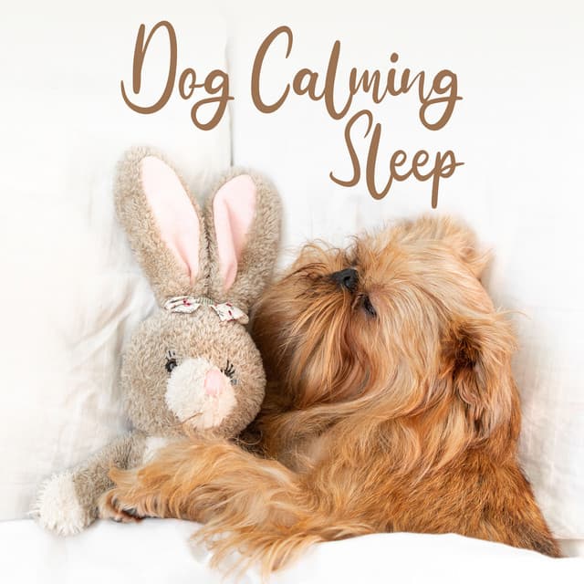 Dog Calming Moon Descent - Jesstai Reya