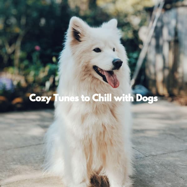 Cozy Tunes to Chill with Dogs - Calming Dog Jazz Classics