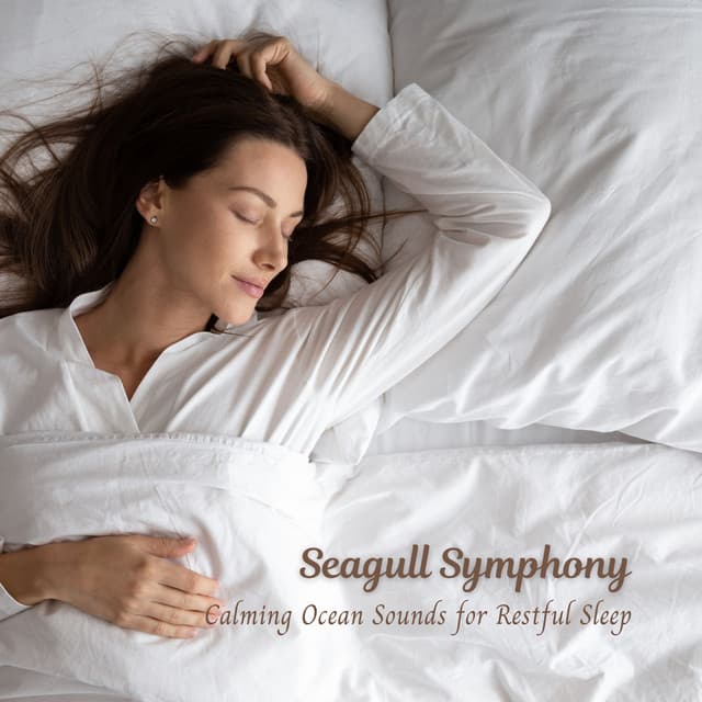 Seagull Symphony: Calming Ocean Sounds for Restful Sleep - Sleeping Ocean Waves