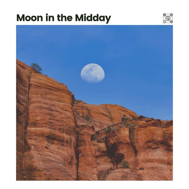 Moon in the Midday - Cricket Sounds