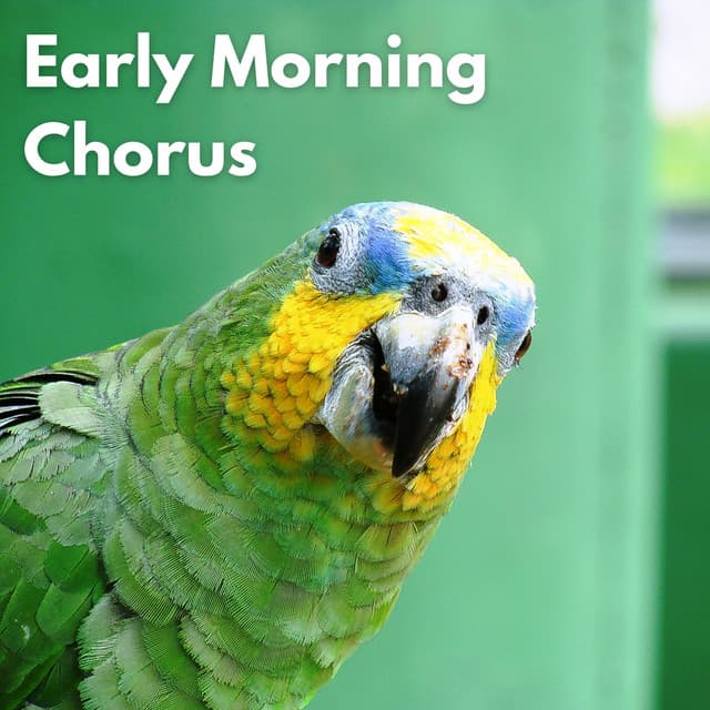 Early Morning Chorus - KPR Sounds