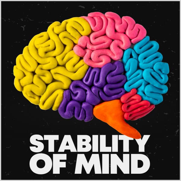 Stability of Mind - White Noise