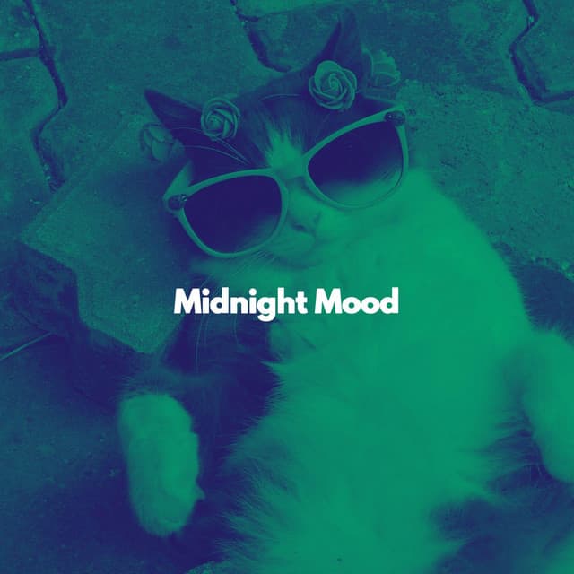 Midnight Mood - Calming Music for Cats