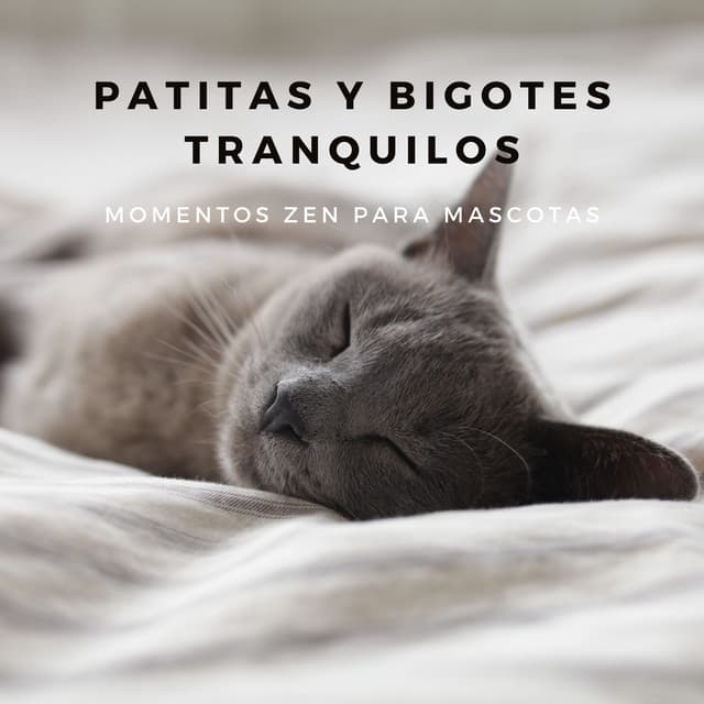Patitas Y Bigotes Tranquilos: Momentos Zen Para Mascotas - LM Sour