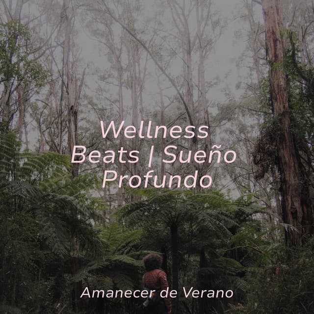 Wellness Beats | Sueño Profundo - MÚSICA PARA NIÑOS