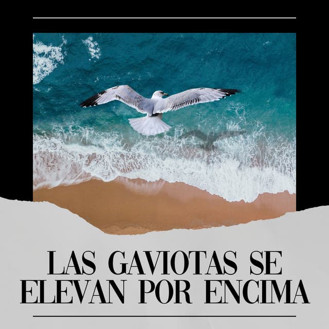 Las Gaviotas Se Elevan por Encima - Olas del Mar