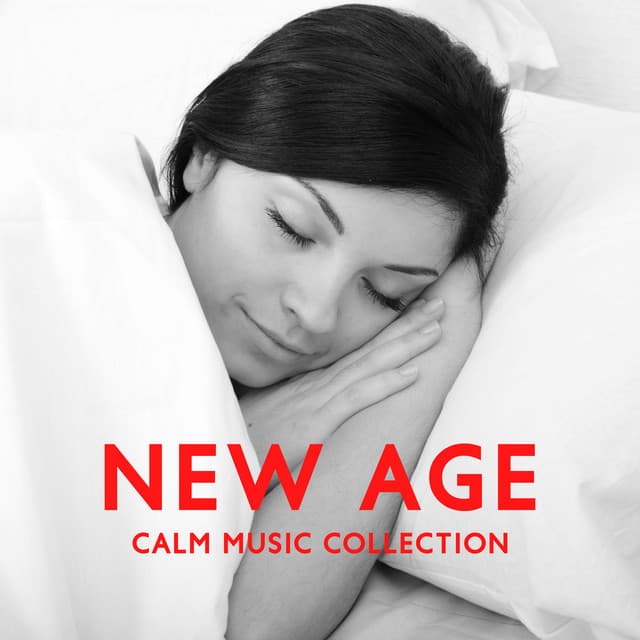 New Age Calm Music Collection: Insomnia Relief, Music for Study, Life Changing Meditation, Evening Yoga, Favorable Relaxation - Less Stress Music Academy