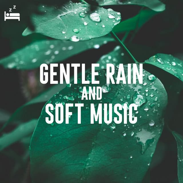 Gentle Rain and Soft Music - Rain Sounds Lab
