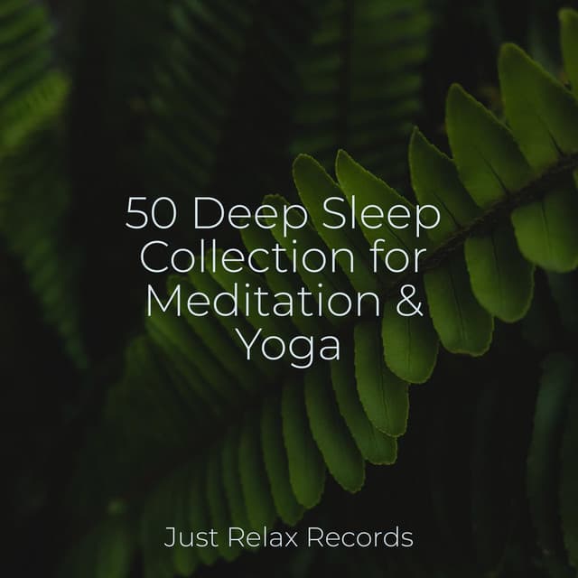 50 Deep Sleep Collection for Meditation & Yoga - Relaxed Minds